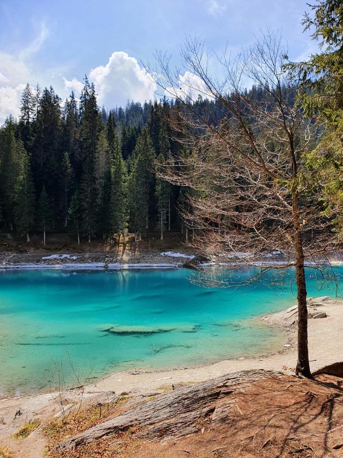 Ferienwohnung Stenna Selva An Toplage Flims Eksteriør billede